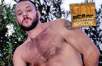 Gay Bears Hardcore